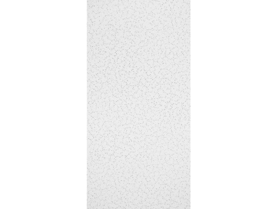 Armstrong Ceilings 4-ft x 2-ft Random Textured Contractor White Mineral Fiber Drop Ceiling Tile (10-pack, 80-sq ft / case)