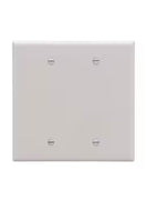 Eaton 2-Gang Midsize White Polycarbonate Indoor Blank Wall Plate