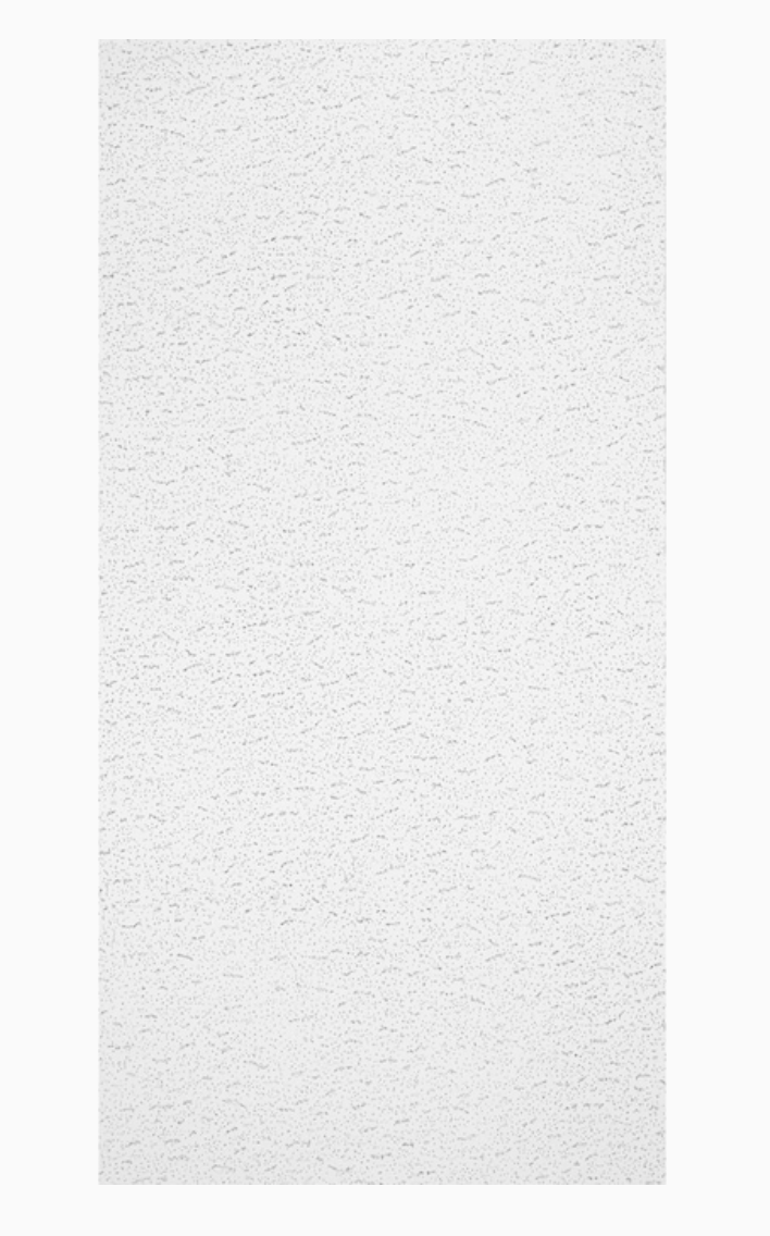 Armstrong Ceilings 48-in x 24-in Textured Contractor 10-Pack White Fissured 15/16-in Drop Acoustic Panel Ceiling Tiles