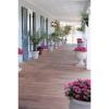 Load image into Gallery viewer, 2 in. x 12 in. x 8 ft. #2 Prime Kiln Dried Southern Yellow Pine Lumber
